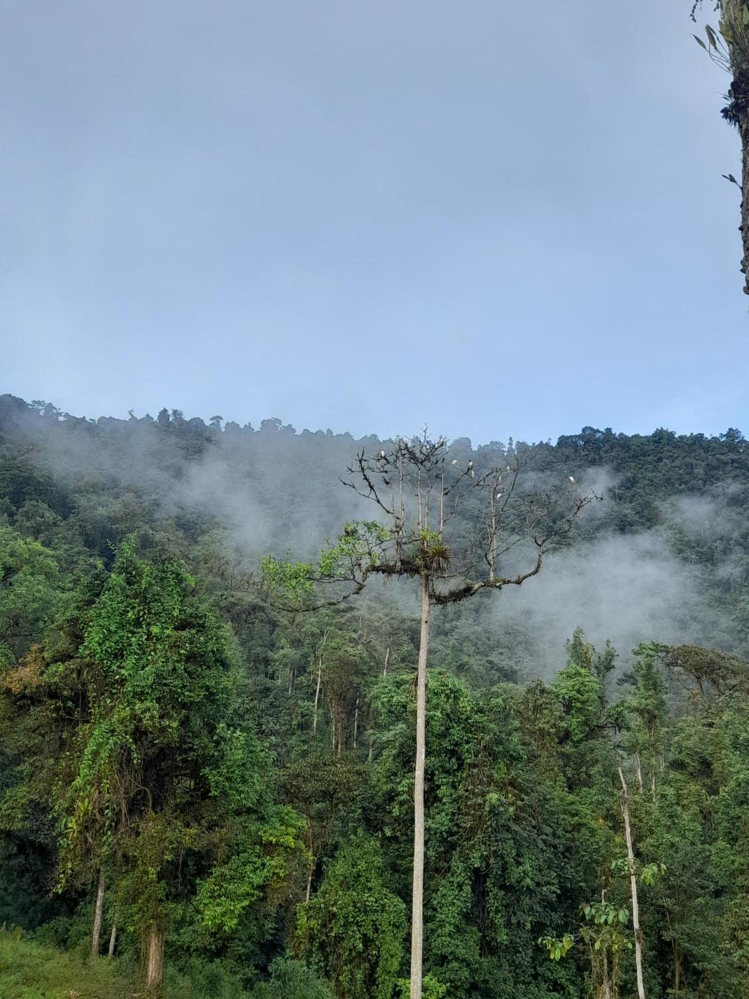 Sendero De Las Aves Mindo Exterior photo